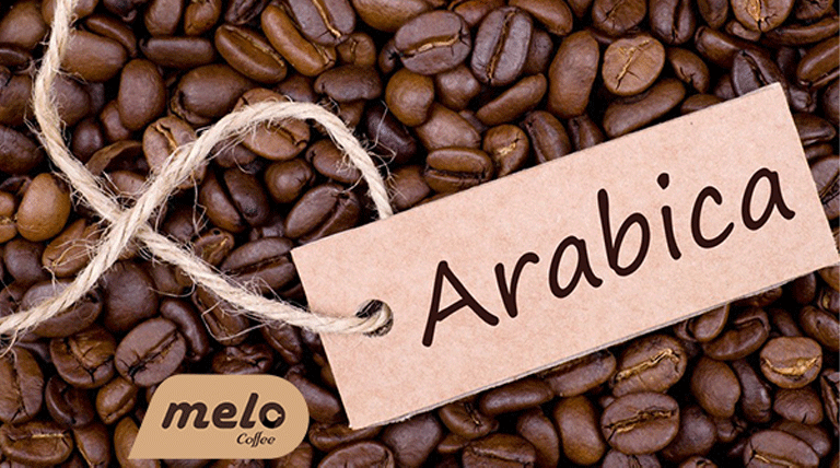 قهوه عربیکا Arabica Coffee چیست؟