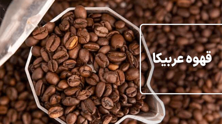 قهوه عربیکا Arabica Coffee چیست؟